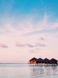 Why Bother Living Anywhere Else When You've Found Paradise? ✈️🌴🍹