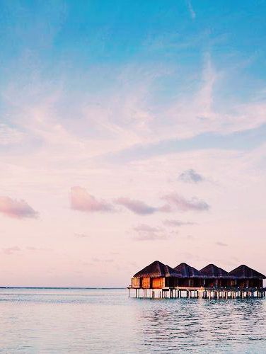 Why Bother Living Anywhere Else When You've Found Paradise? ✈️🌴🍹