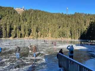 Frozen Fairytale — The Magical Winter Wonderland of Mummelsee, Seebach 🇩🇪