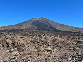 Discovering the Soul of the Canary Islands — Santa Cruz de Tenerife, Spanien 🇪🇸  