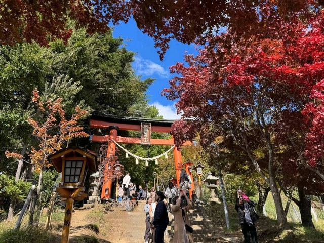 Fall Fuji Magic🍁 Fall Fuji Magic🍁