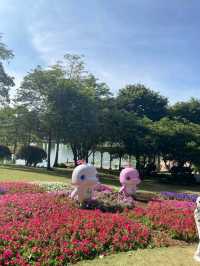 Skyline Sparkle type of city you have to visit at least once 🌃