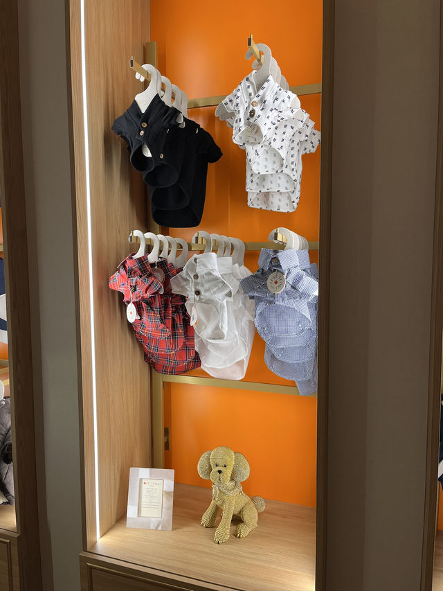 Шопинг во Флоренции: версия для собачников Шопинг во Флоренции: версия для собачников