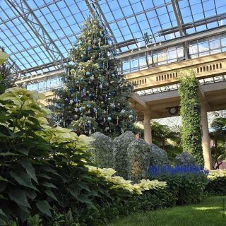 สวนลองวูด