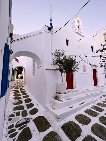 エーゲ海の目覚め：春がミコノスの最高の秘密である理由🇬🇷🌸 | Trip