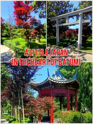 A Little Japan in the Heart of Batumi 🌸 (A Must-Visit)