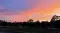 luceria_4356