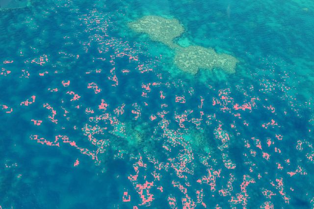 The perfect Great Barrier Reef.