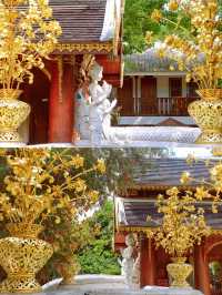Chiang Mai's largest meditation center, a place where you can truly calm down.