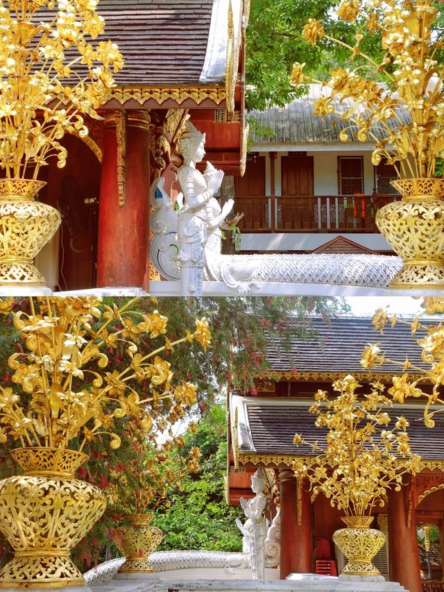 Chiang Mai's largest meditation center, a place where you can truly calm down.