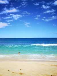 March's Hawaii Ocean Park is super beautiful, satisfying all your requirements for an island.
