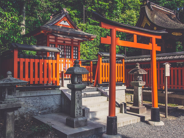 💸🎒京都$200で楽しむ！観光スポット攻略大公開！