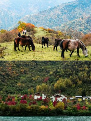The world suddenly turns into evening, and the mountains and rivers have already entered autumn--the colorful forests in western Sichuan