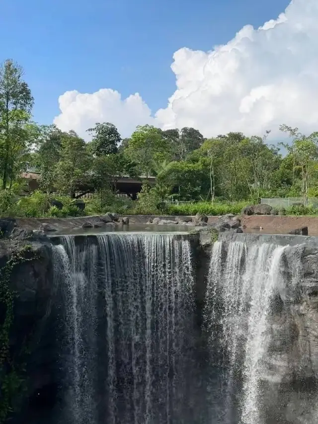 シンガポールの鳥類公園|