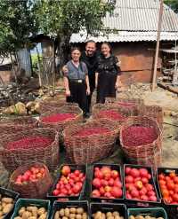 阿爾巴尼亞萊什Mrizi i Zanave Agroturizëm