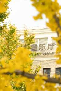 報上海市中心