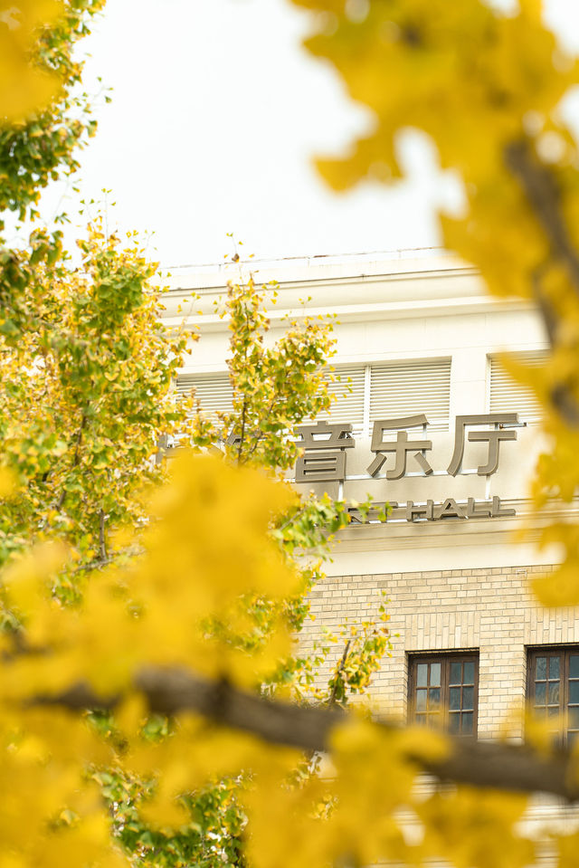 報上海市中心