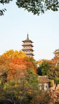 在揚州賞銀杏，又怎麼能錯過千年古剎大明寺