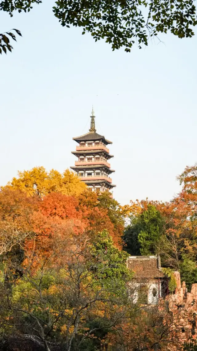 How can you miss the ancient Daming Temple when you are admiring ginkgo in Yangzhou