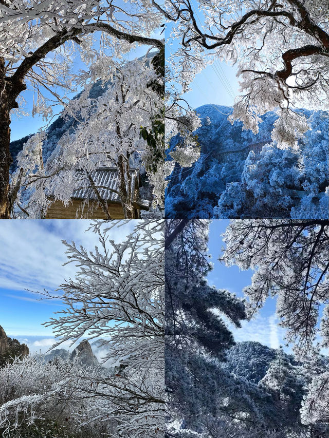 湖南郴州|不來後悔廣東最佳賞霧凇地