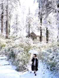 不是北海道去不起，而是成都3h看雪更性價比