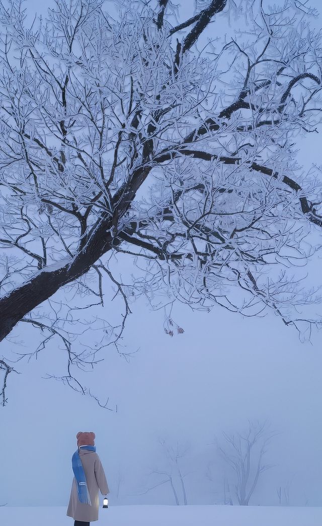 輝南縣四方頂景區，看霧淞絕美的地方！