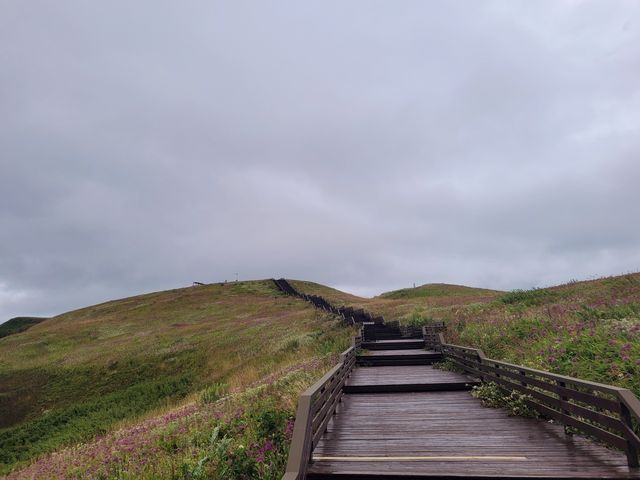 精彩韭菜坪，多彩大畢節