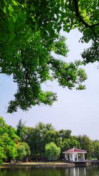 “滬東小西湖”——楊浦公園
