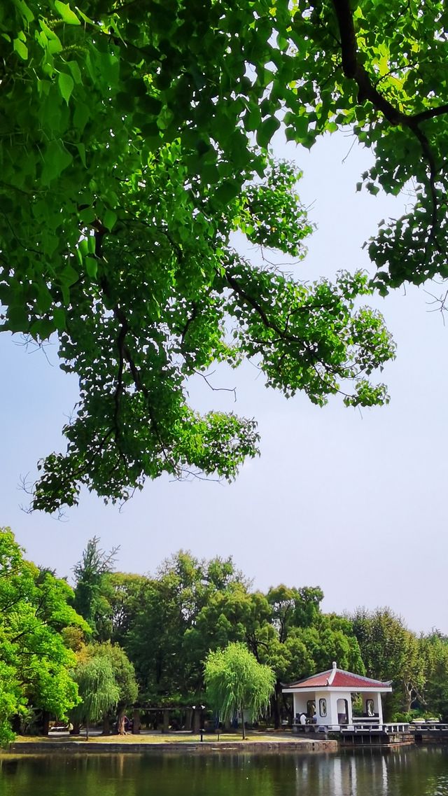 “滬東小西湖”——楊浦公園