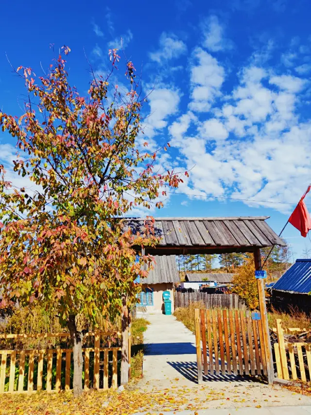 Heilongjiang | "The First Village of Longjiang" Luoguhe Village