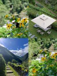 黃山腳下絕美新民宿坐擁竹林雲海，獨享私湯