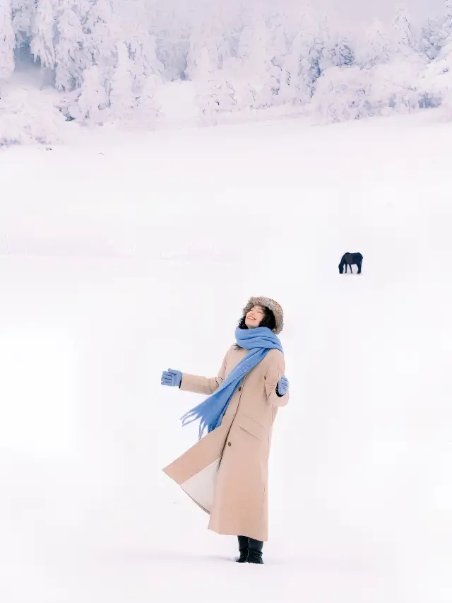 동화 속의 눈 풍경이야, 이렇게 찍으면 진짜 아름다워서 울 것 같아!