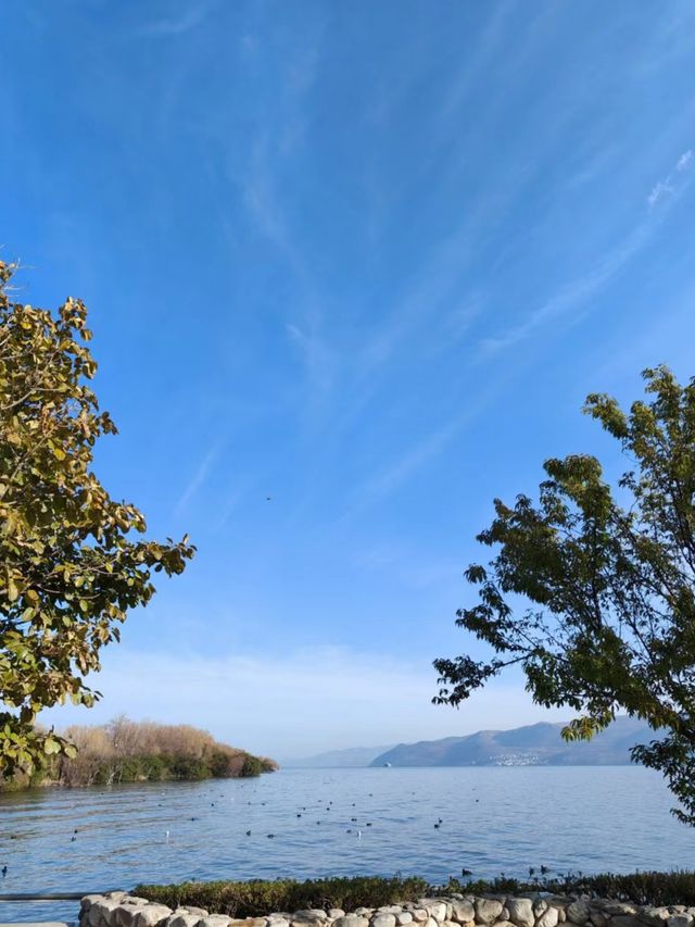 雲南大理|洱海帶你實現山海和自由~