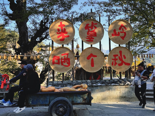 景德鎮-浮樑-上饒-塔川宏村之行