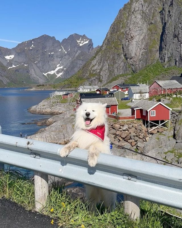 📍🇳🇴 Discover the enchanting beauty of Lofoten, Norway with this stunning postcard! 😍🌅