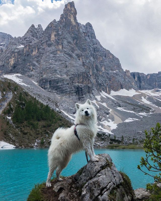 📸📍 Unveiling the Hidden Gem: Lago Di Sorapis in Italy 🇮🇹💦 Discover Why No. 4 is the Ultimate Must-See Spot! 😂