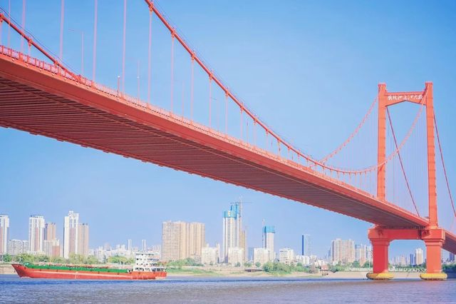 武漢丨我單方面宣布，鸚鵡洲長江大橋是武漢最美的橋！