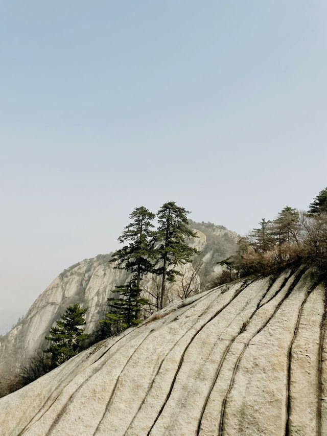 北上西下，華山拿下（有腿就行版）