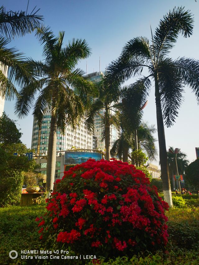 陽光康養地：攀枝花