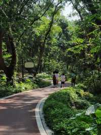 桂林最適合徒步的季節來了|||國慶假期過後，是桂林最適合徒步
