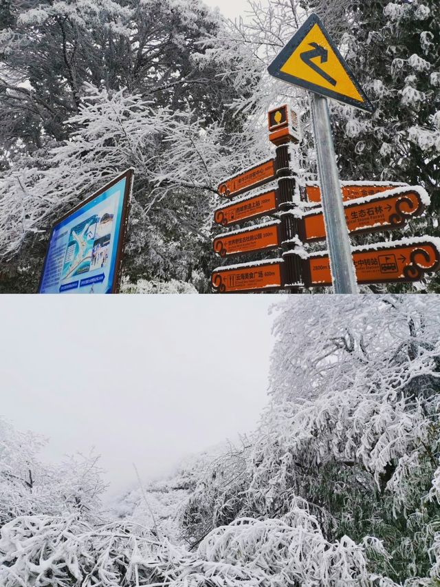 重慶周邊滑雪南川金佛山縱享絲滑