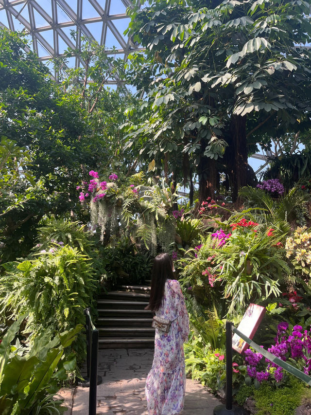 一定要去的植物園