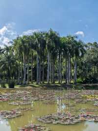 阿佤山探秘27：中科院植物園