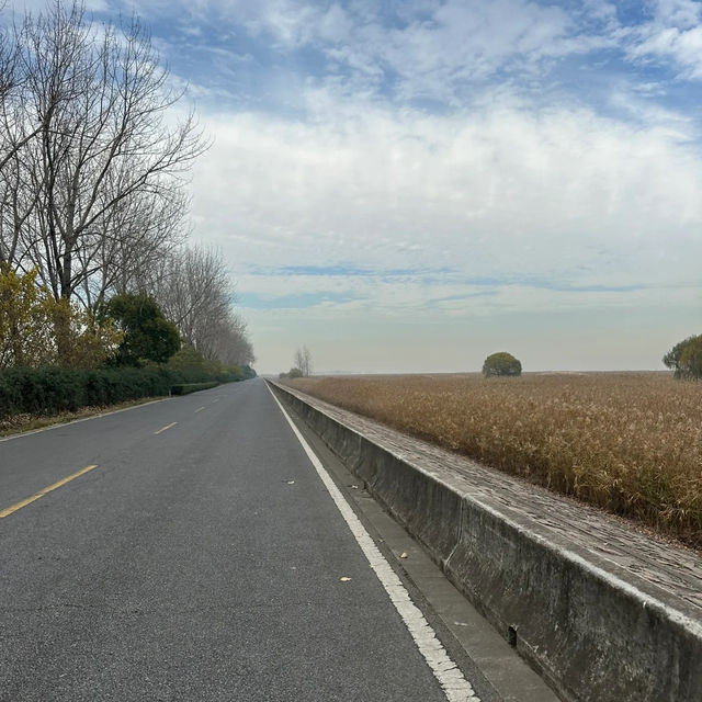 我在張家港，穿過九十九場煙雨