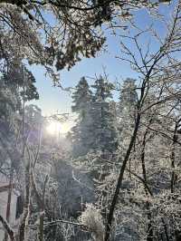 雲上金頂,天下峨眉
