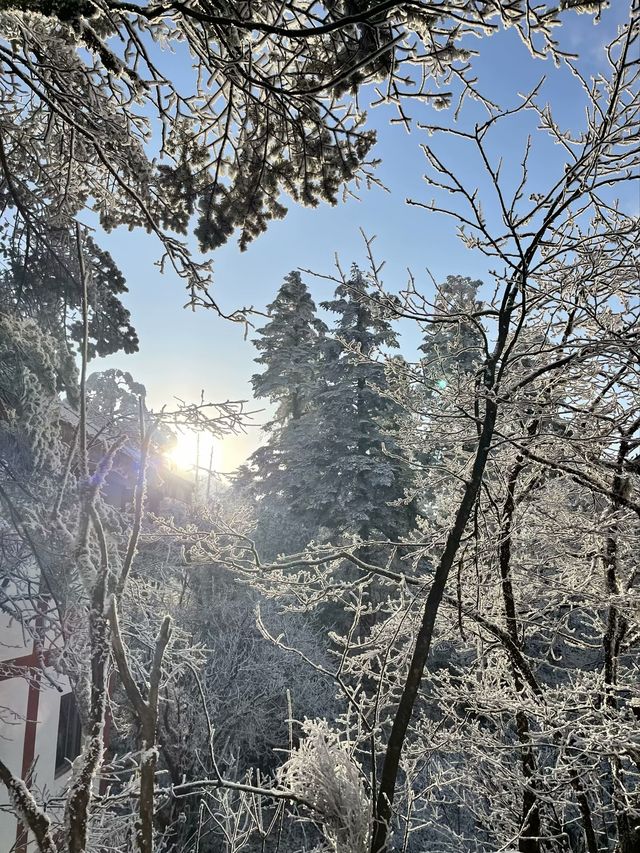 雲上金頂，天下峨眉