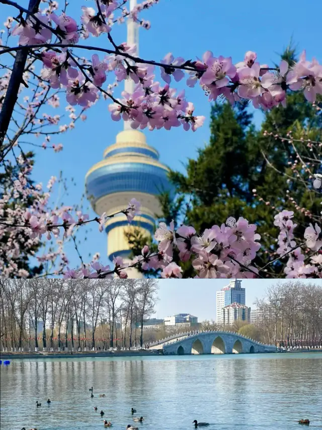 北京の春の花見| 春は短いから、これらの場所を見逃さないでください