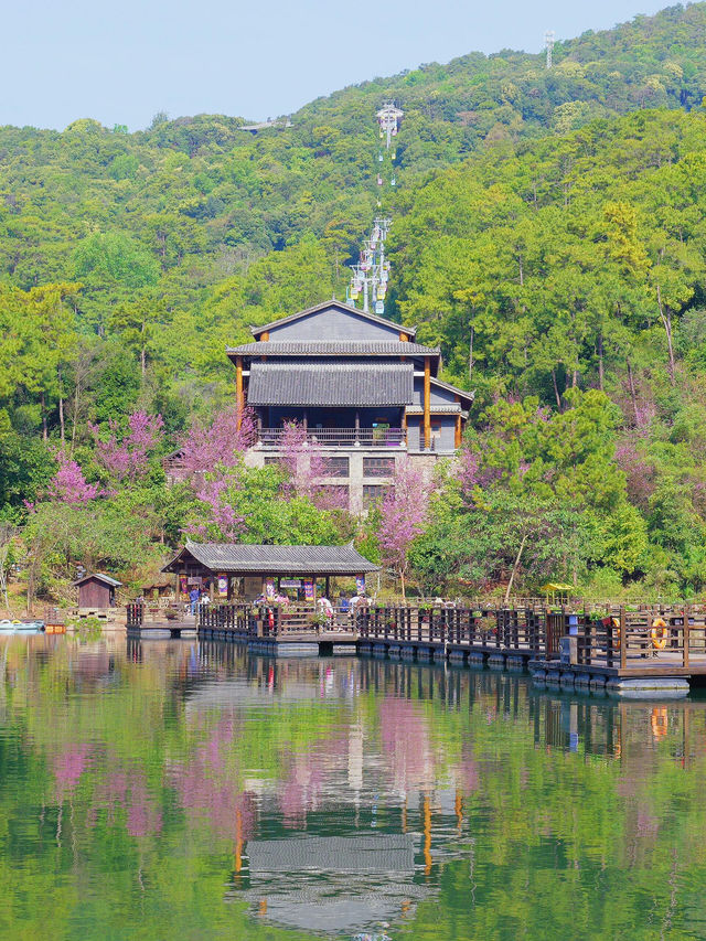 雲南旅遊好去處·遊玩普洱茶馬古道…