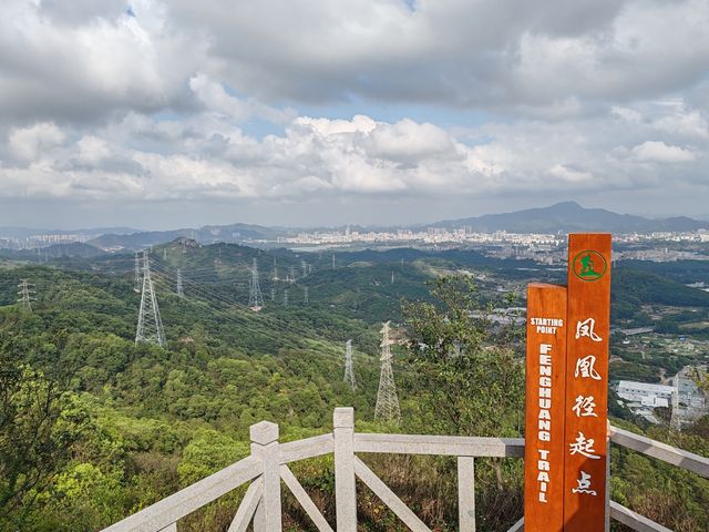 攀登深圳十峰之一的鳳凰山