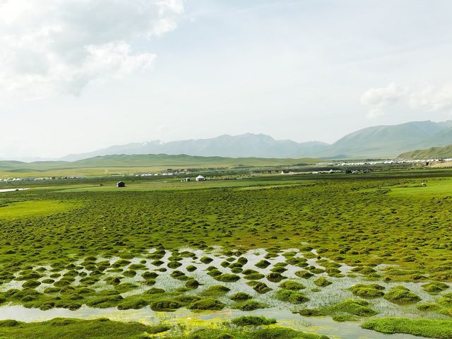 濃妝淡抹總相宜的草原